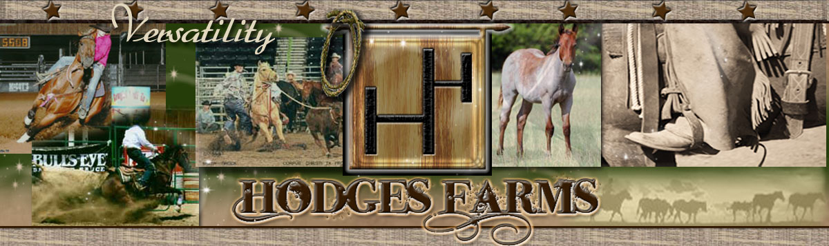Hodges Farms