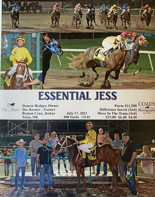Essential Jess